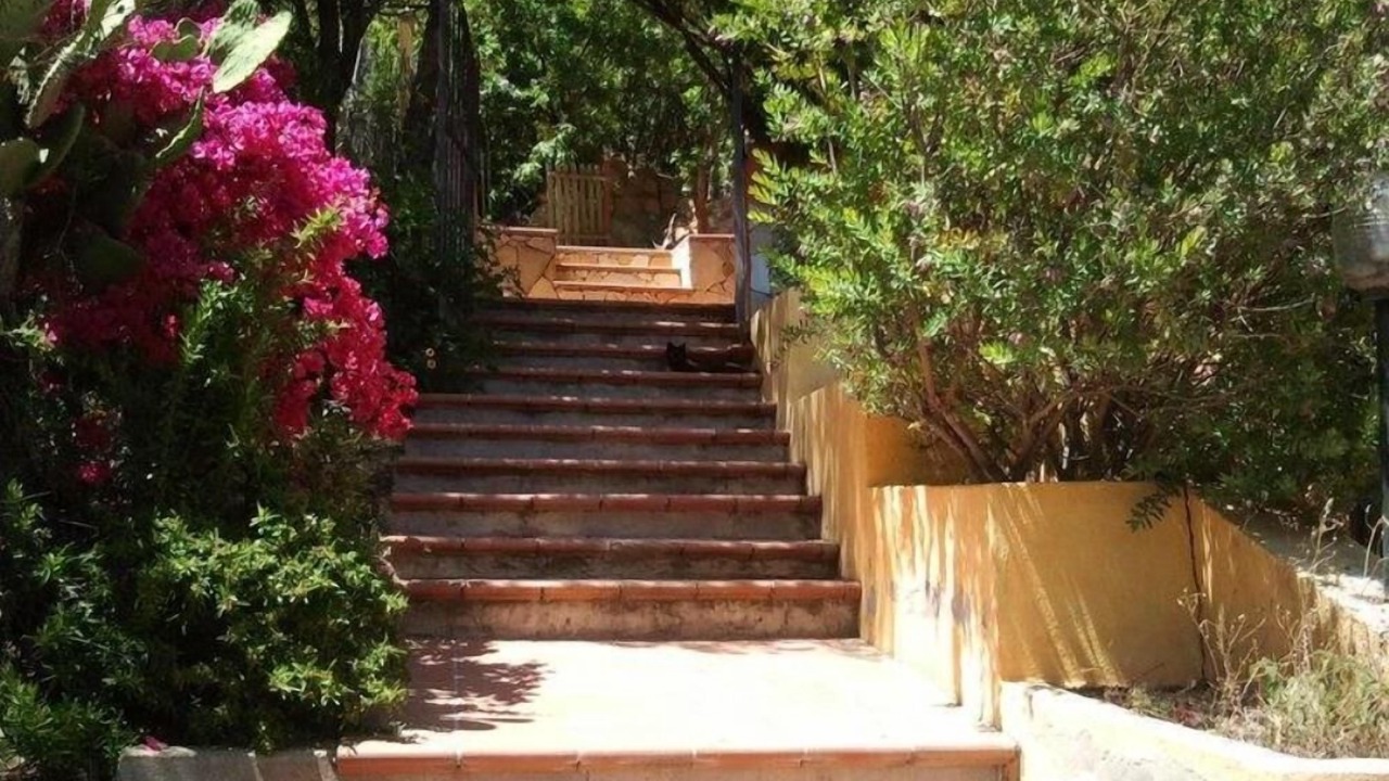 Photo of Outdoor in Solanas