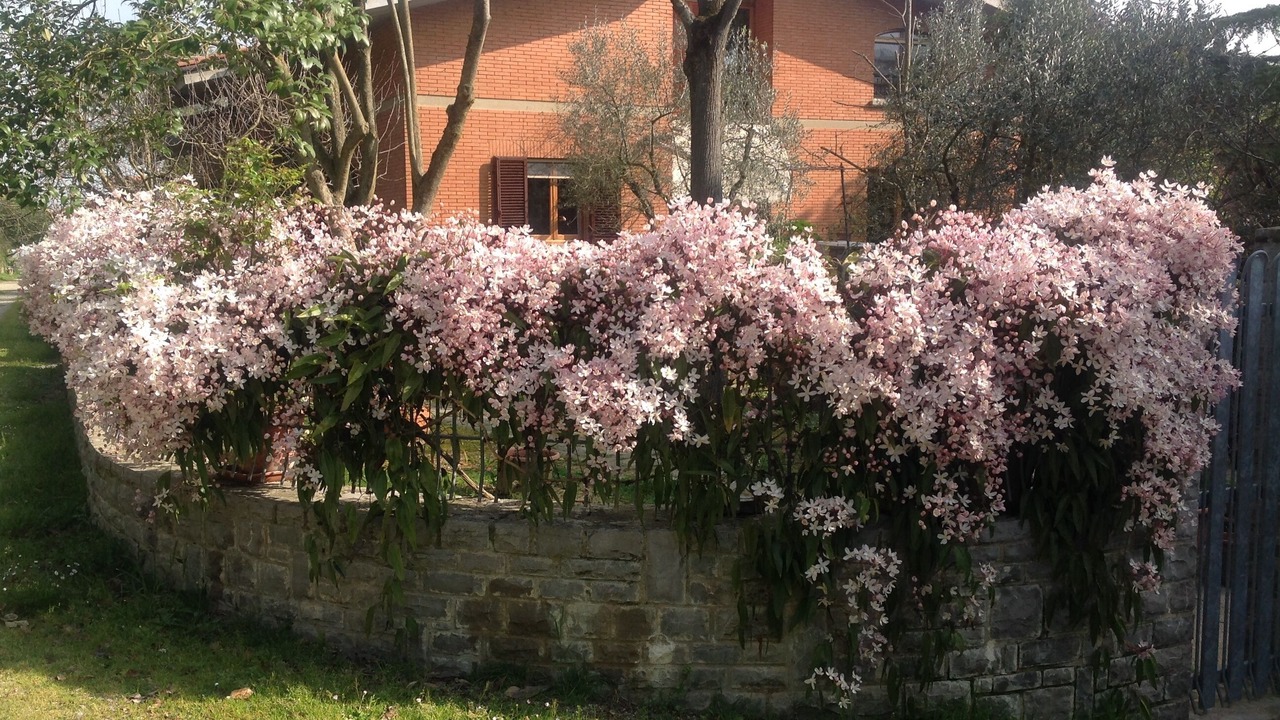 Photo of Outdoor in Lucignano