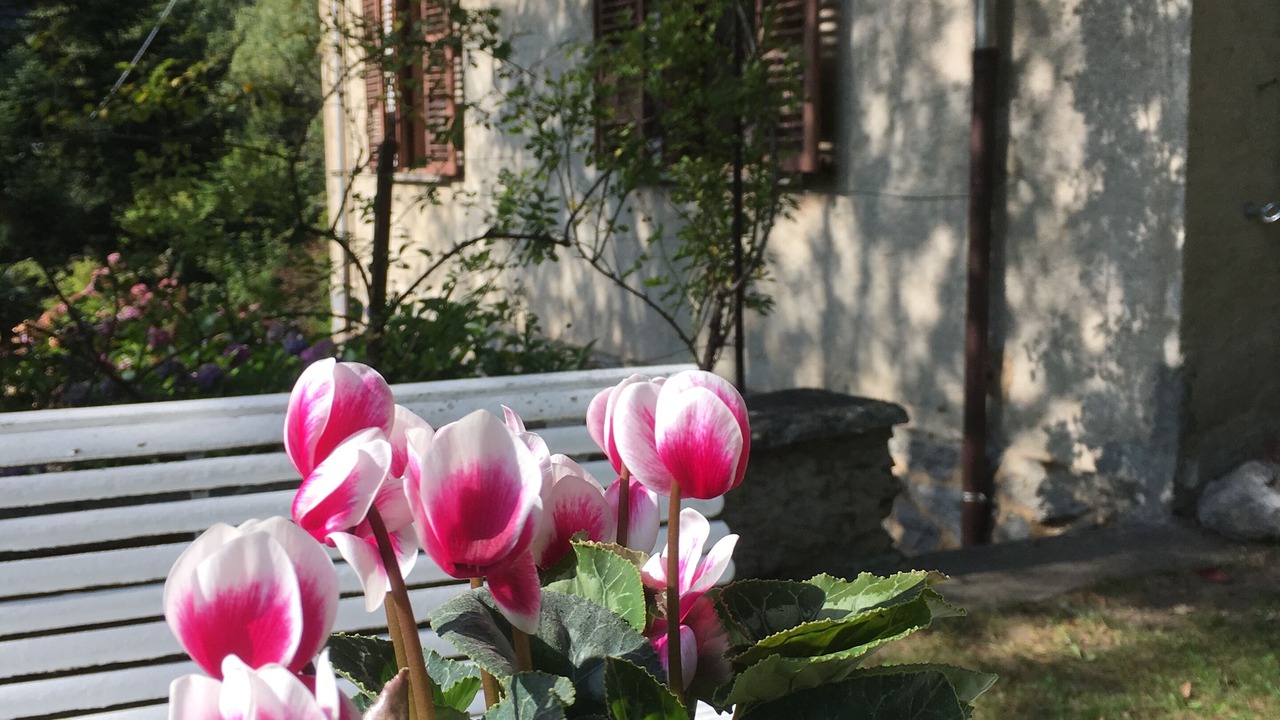 Photo of Outdoor in Groscavallo