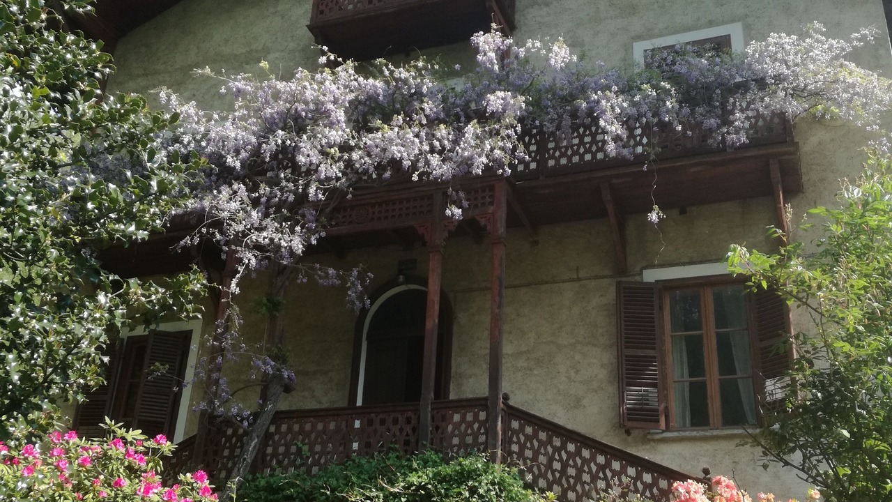 Photo of Outdoor in Groscavallo
