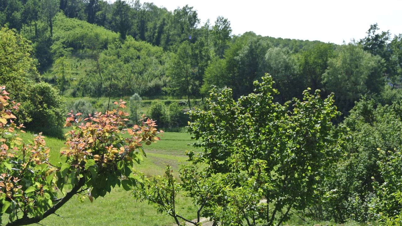 Photo of Outdoor in Belveglio