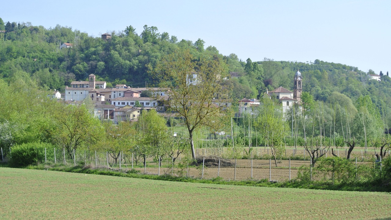 Photo of Others in Belveglio