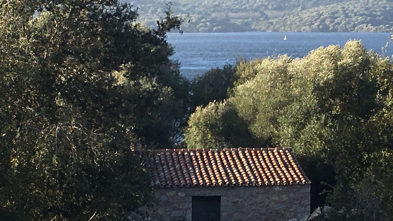 Photo of Outdoor in Sa Castangia