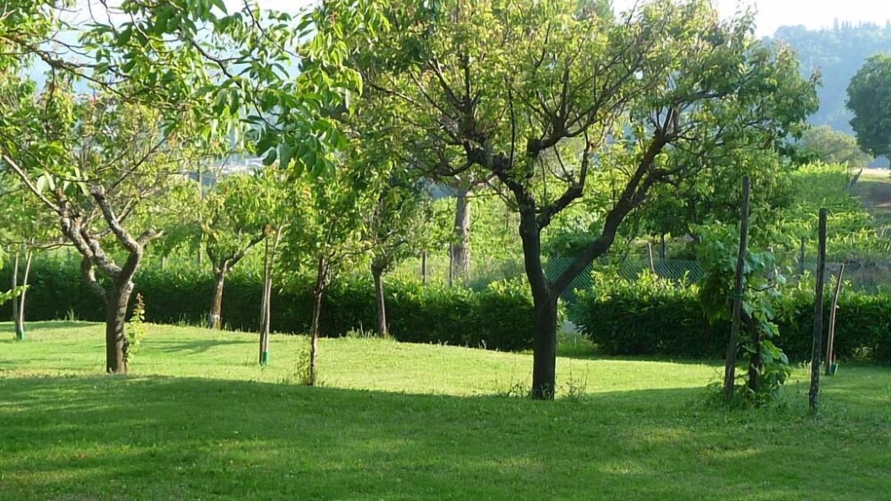 Photo of Others in Pratovecchio