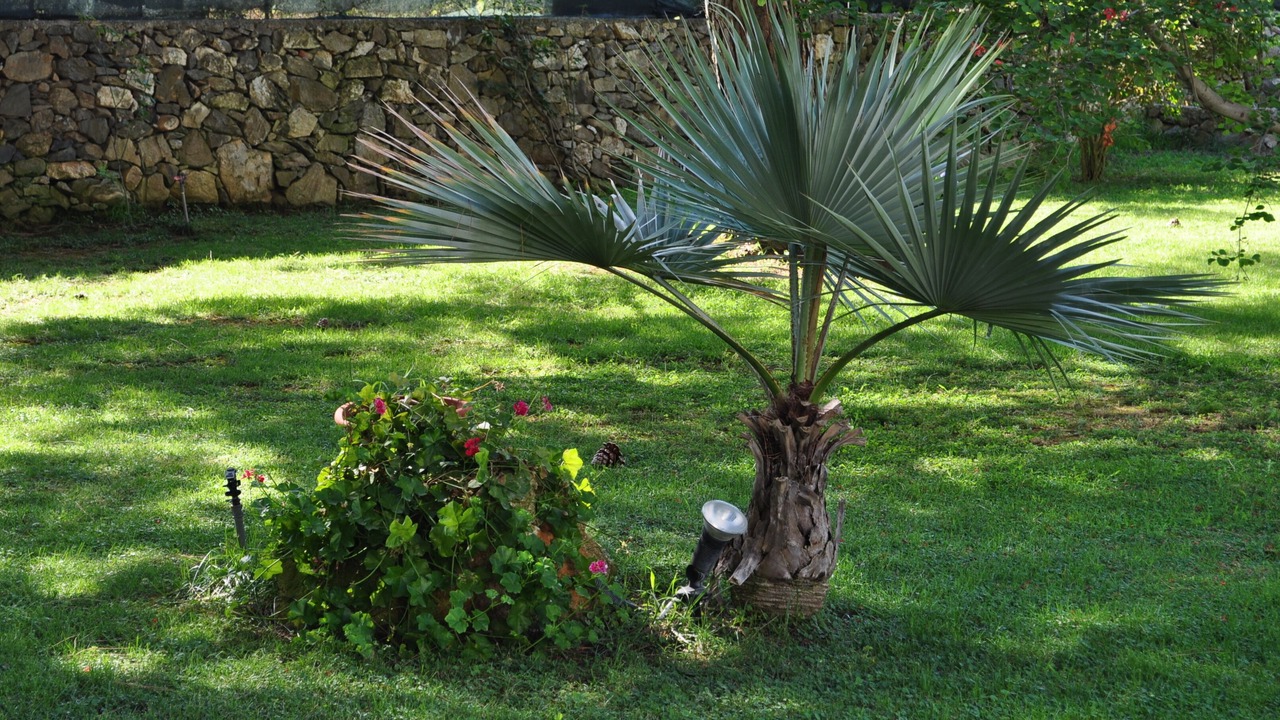 Photo of Outdoor in Milazzo
