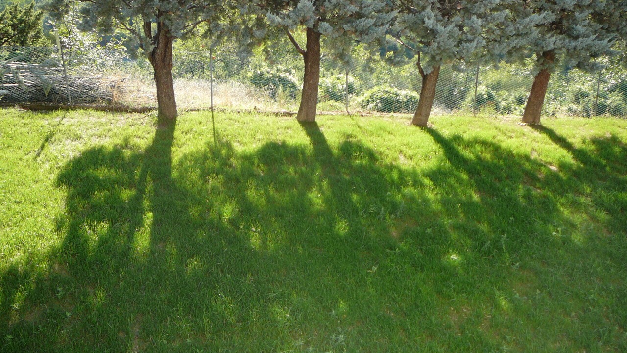 Photo of Outdoor in Sarnano