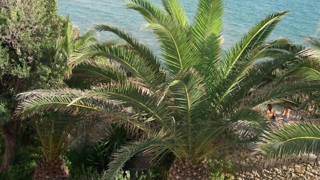 Photo of Outdoor in Scoglitti