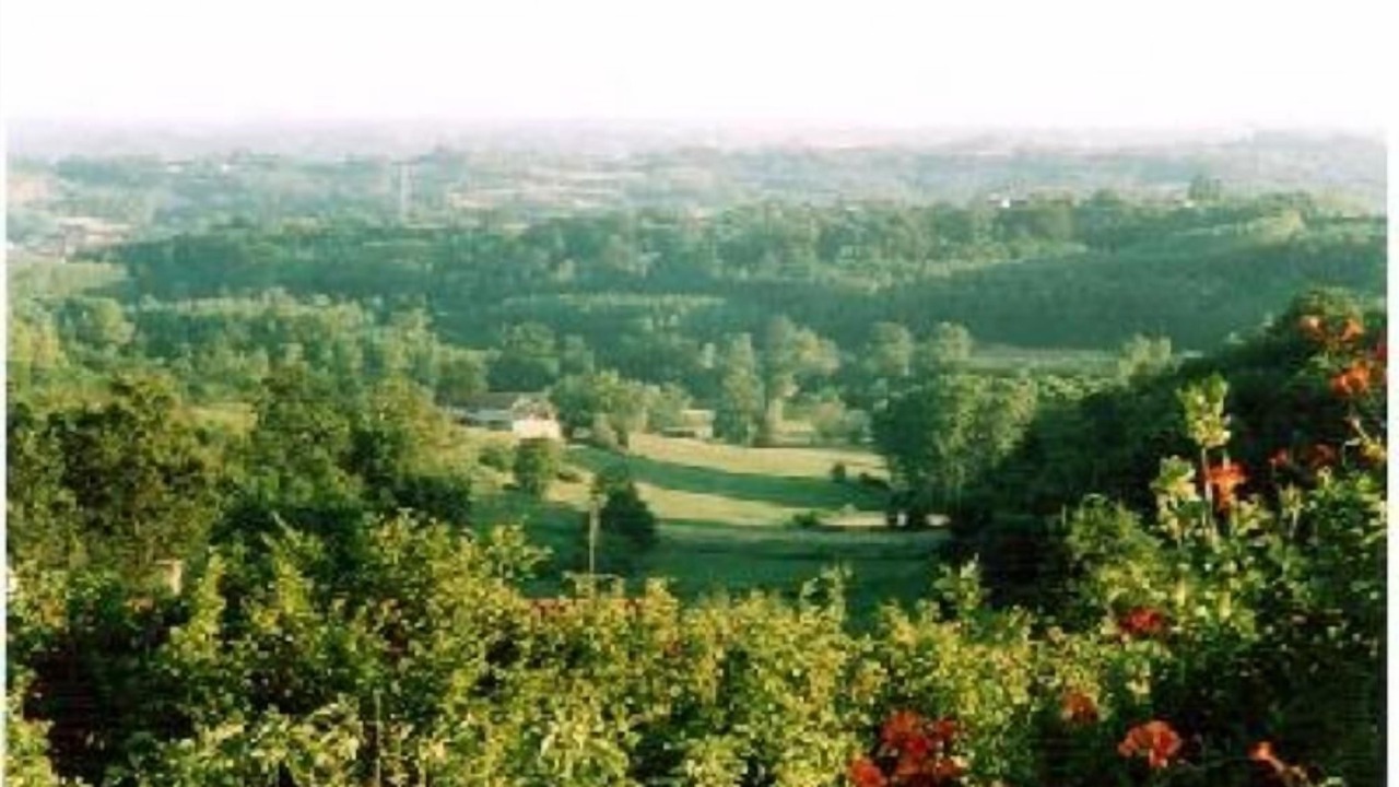 Photo of Others in Simonetti