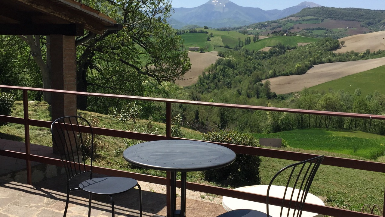 Photo of Outdoor in Pergola