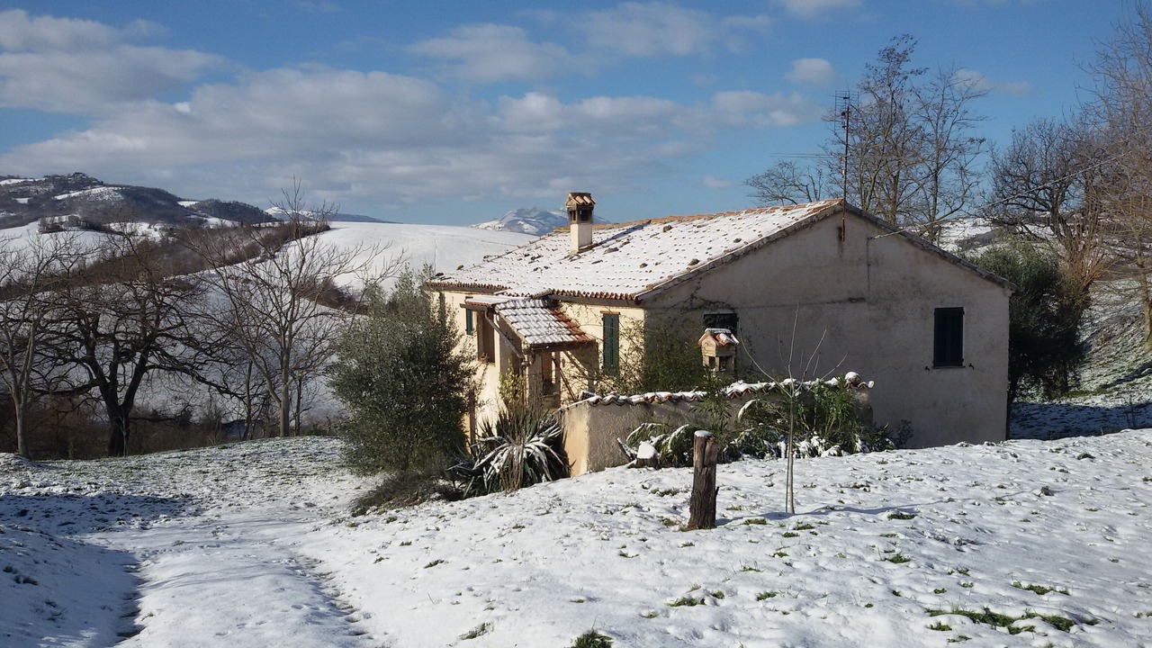 Photo of Outdoor in Pergola