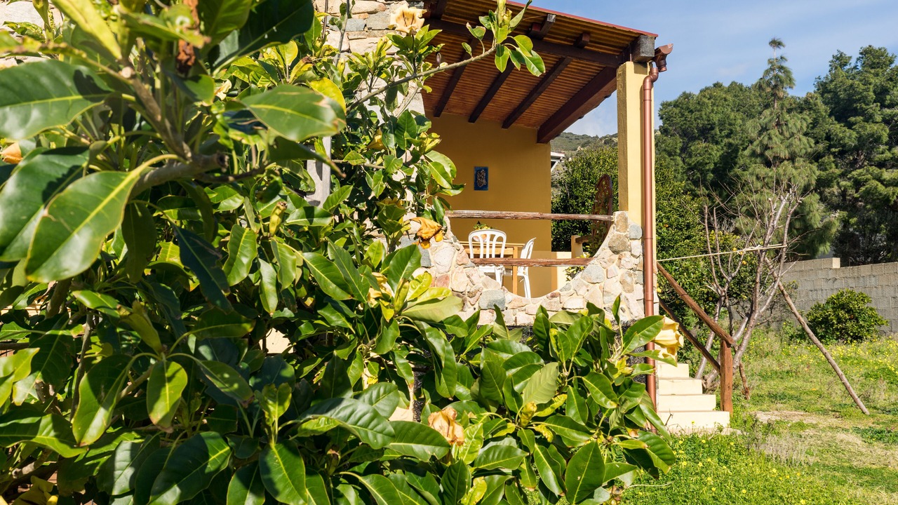 Photo of Outdoor in Solanas