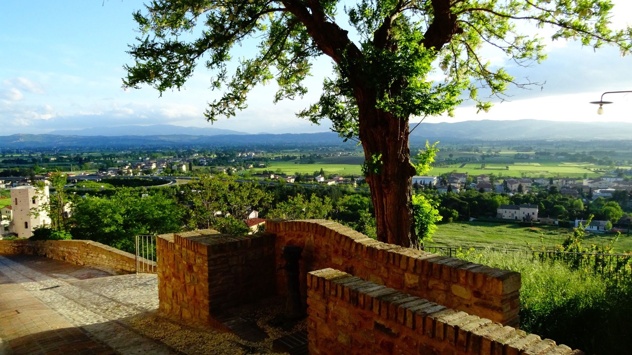 Photo of Others in Spello