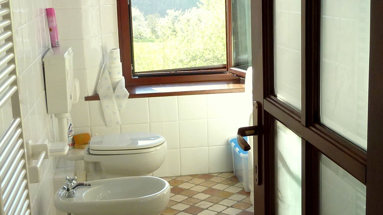 Photo of Bathroom in Pellegrino Parmense
