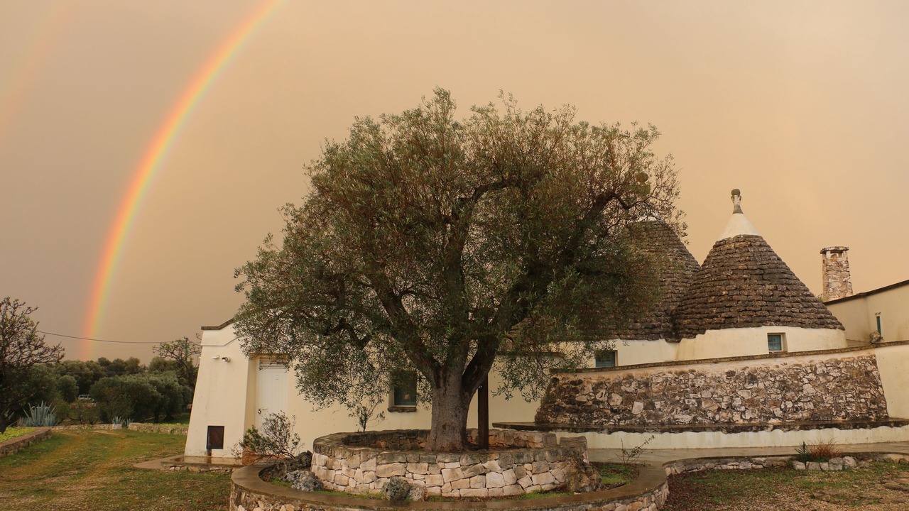 Photo of Outdoor in Ostuni