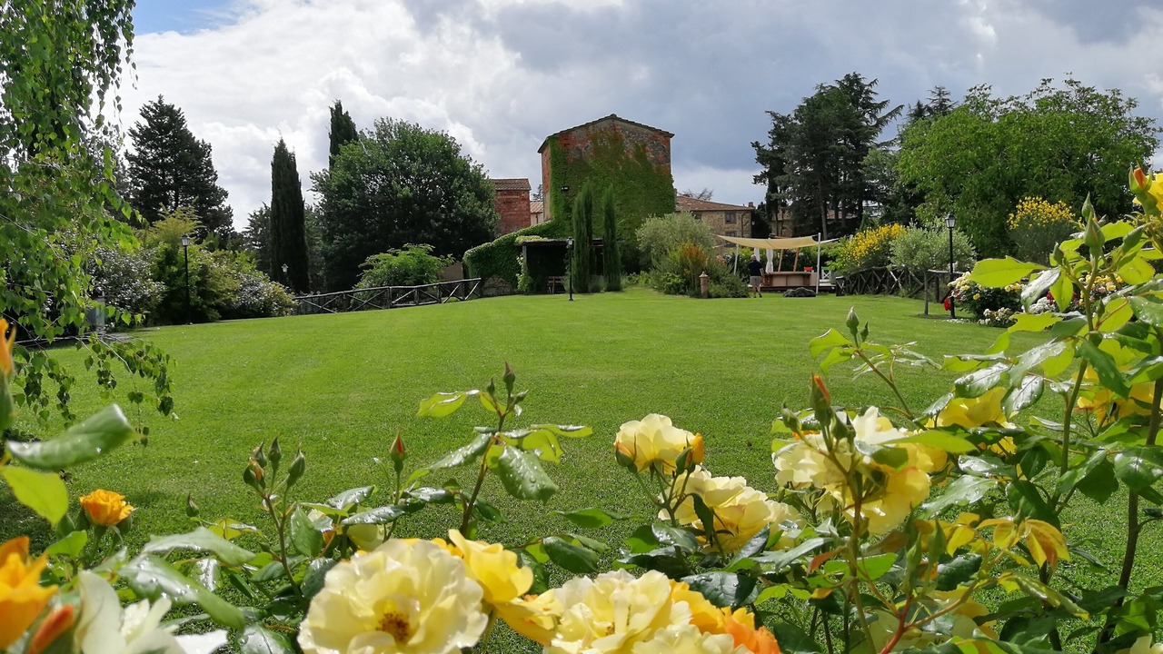 Photo of Outdoor in Santa Reparata