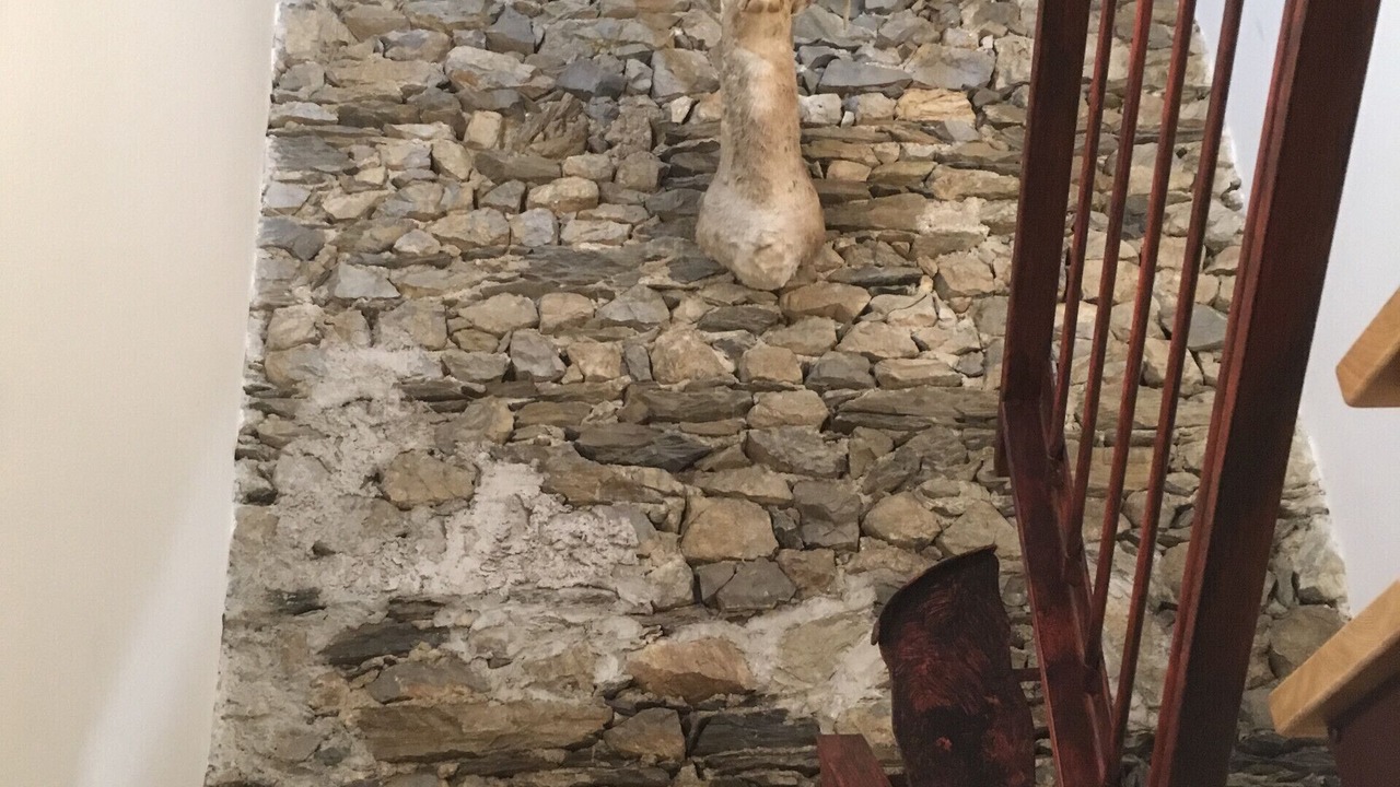 Photo of Others in Venas di Cadore