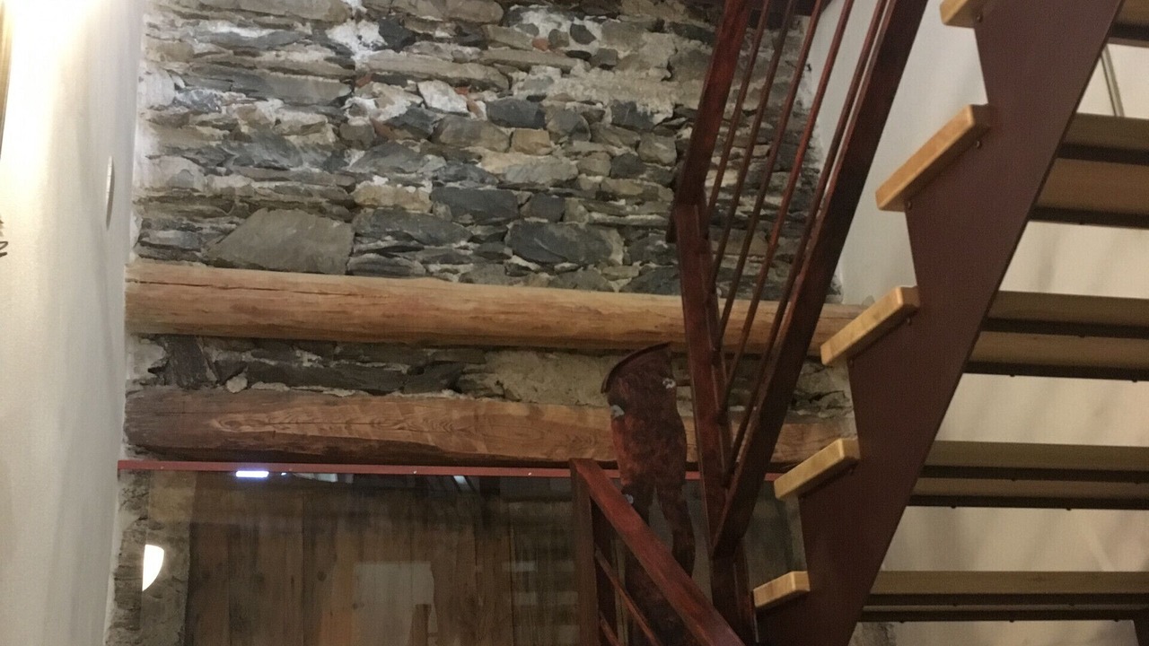 Photo of Others in Venas di Cadore