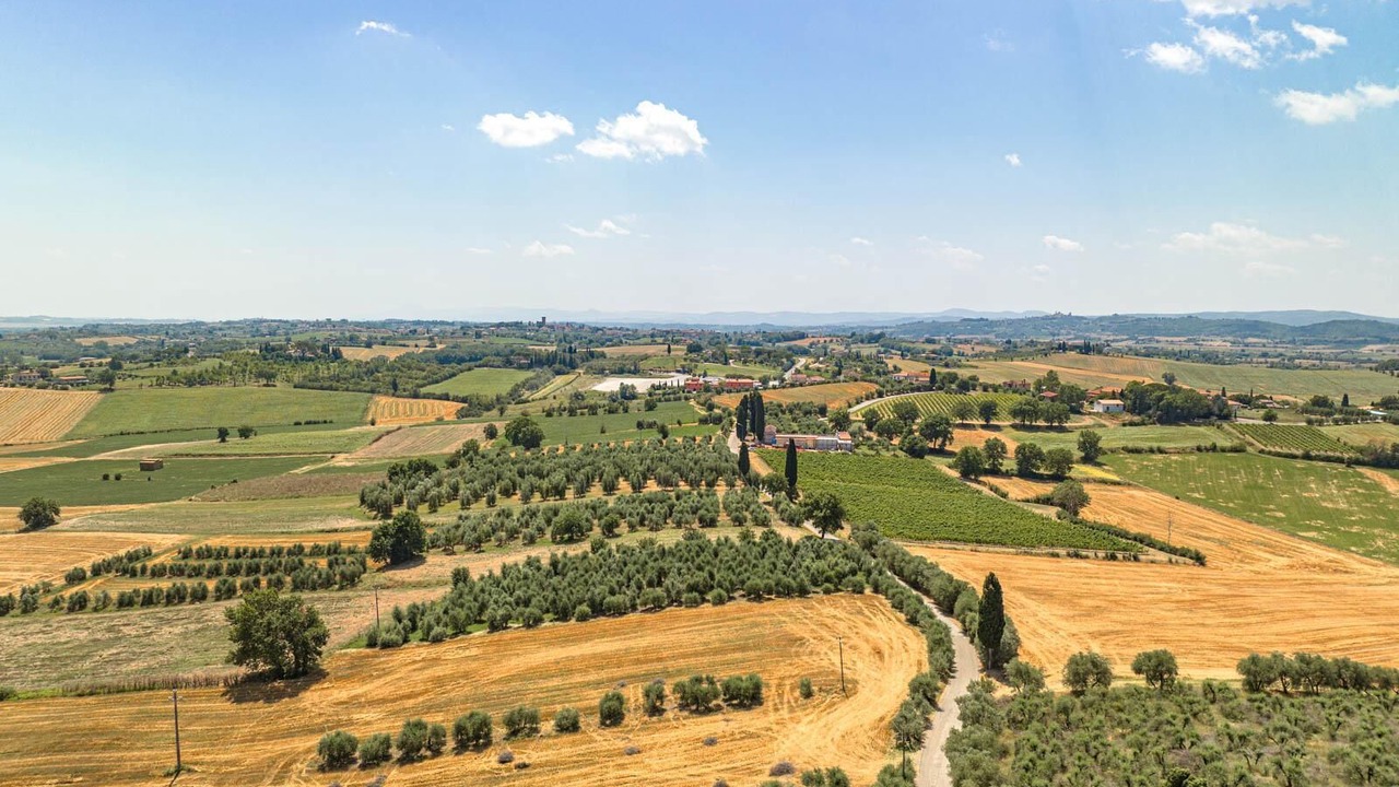 Photo of Others in Marciano della Chiana