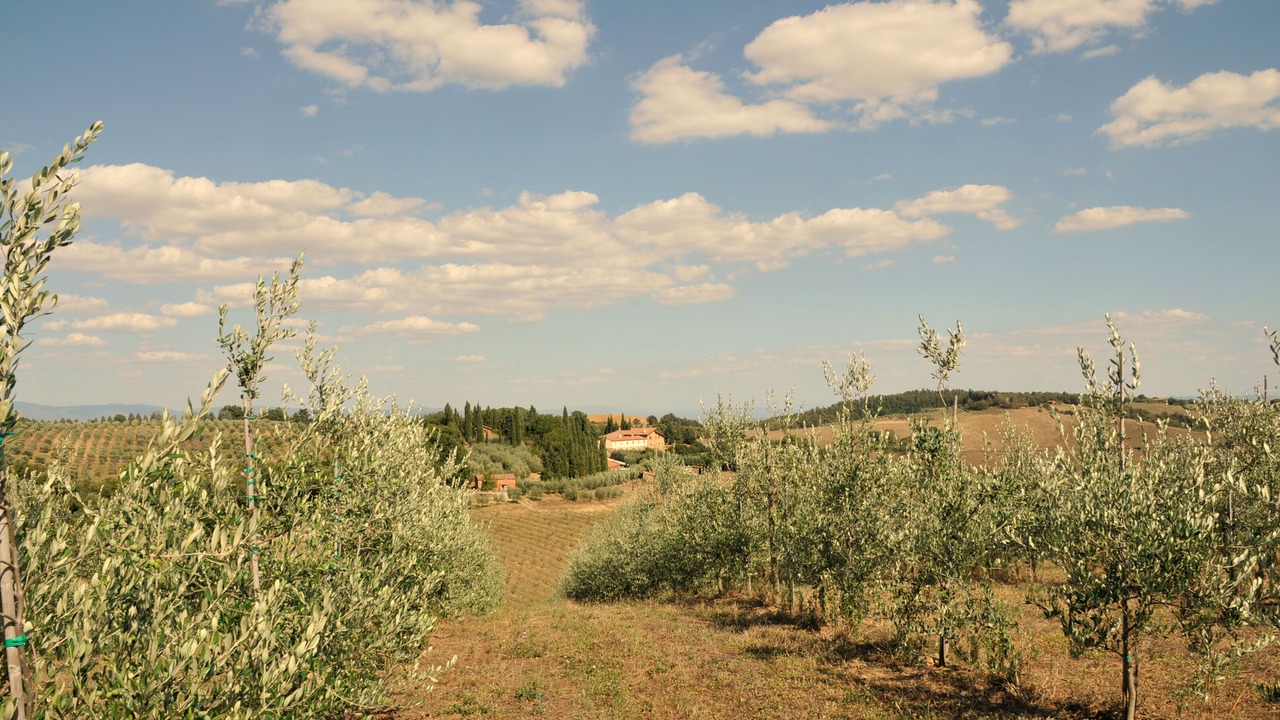 Photo of Outdoor in Torrita di Siena