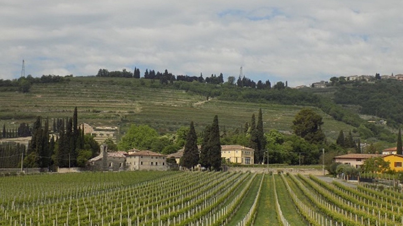 Photo of Outdoor in Gargagnago di Valpolicella