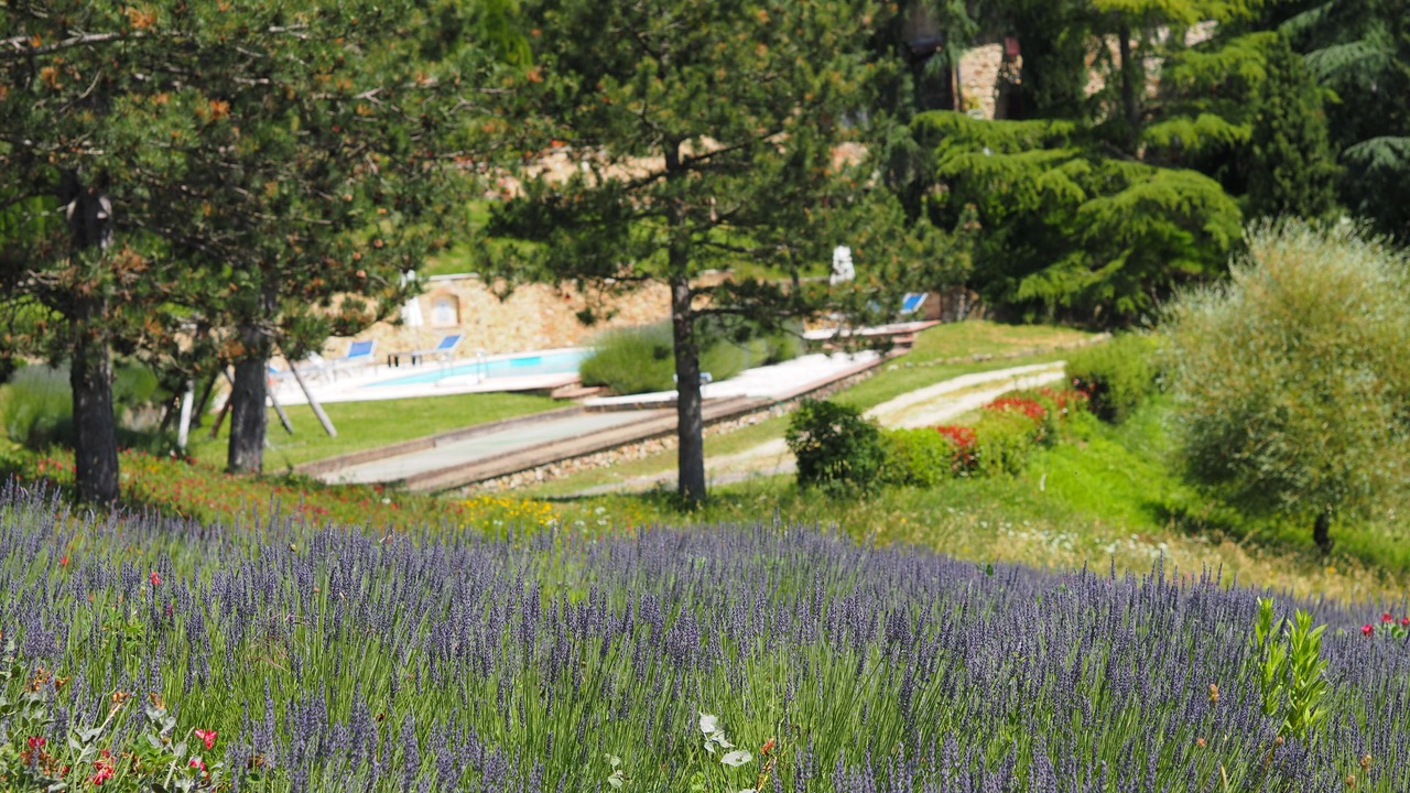 Photo of Outdoor in San Gimignano