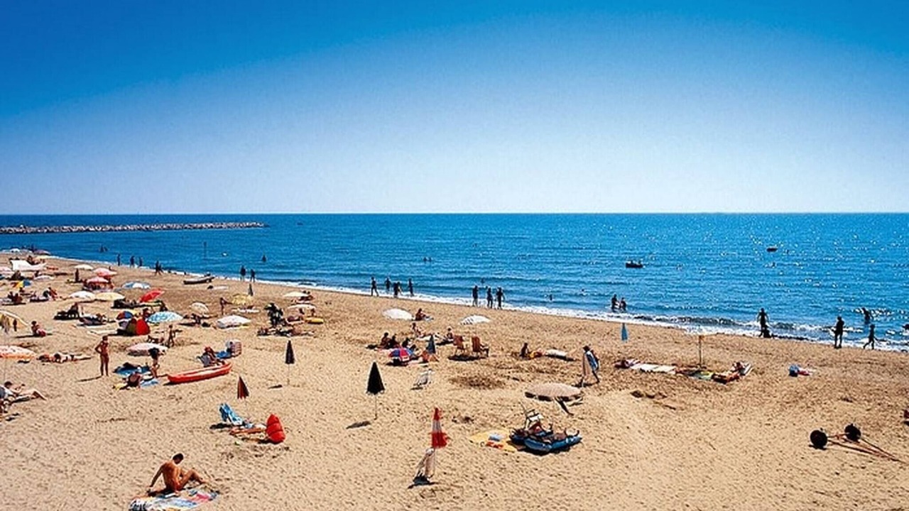 Photo of Others in Faro