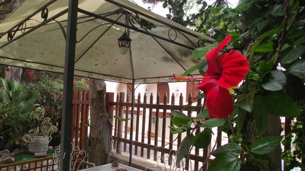 Photo of Outdoor in San Vito Lo Capo