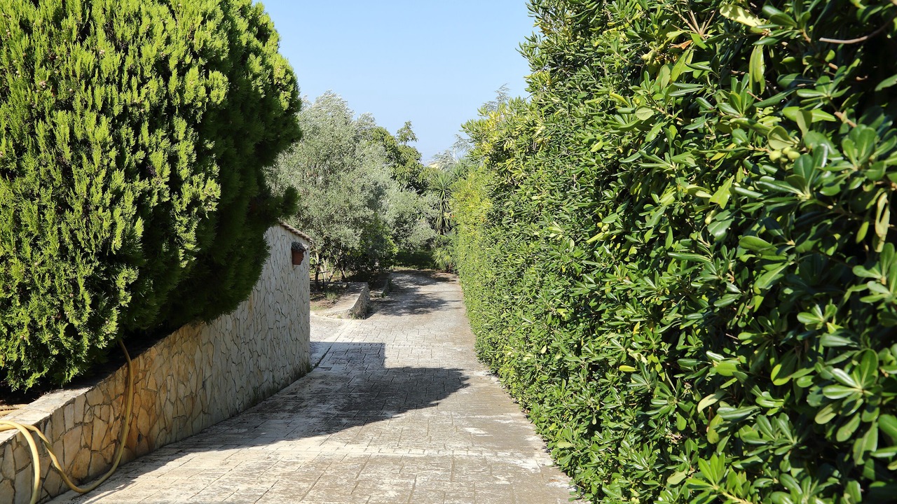 Photo of Outdoor in Canicattini Bagni