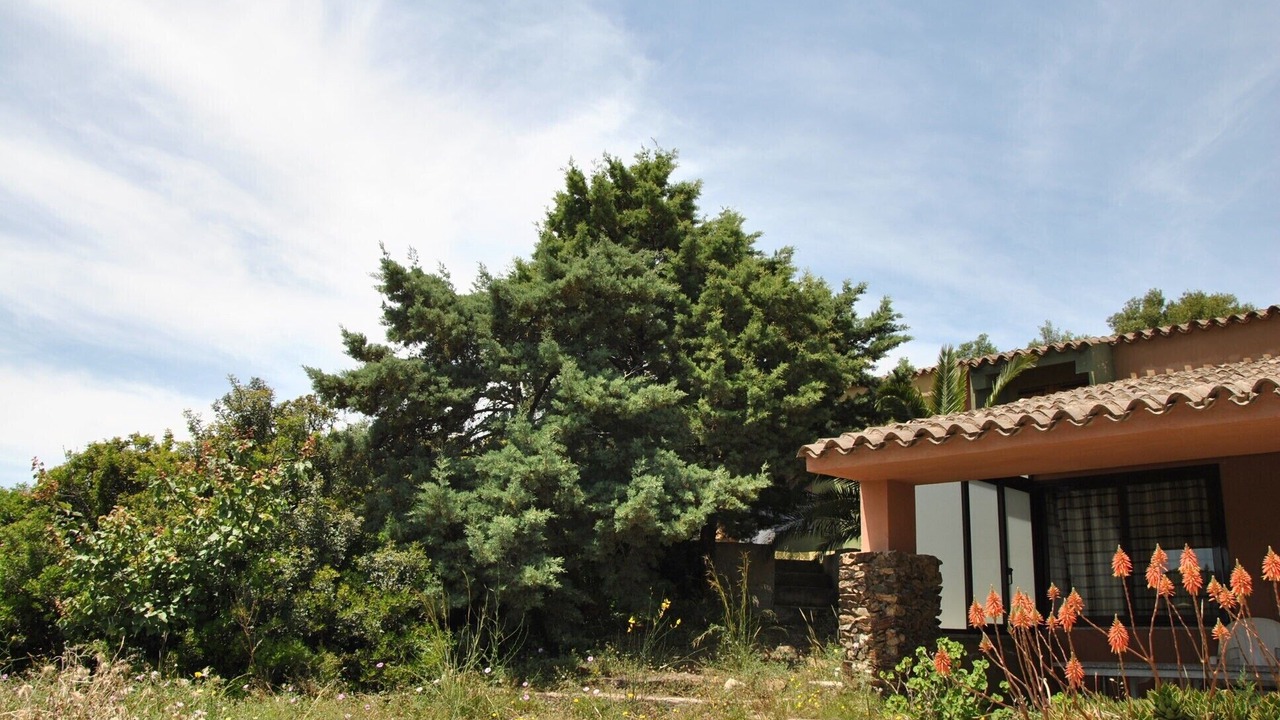 Photo of Outdoor in Porto Sa Ruxi