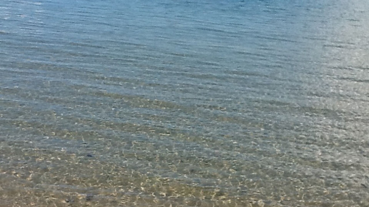 Photo of Others in Gianola