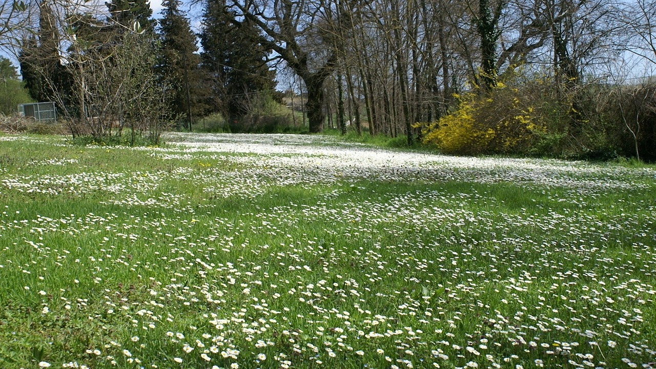 Photo of Outdoor in Macerata