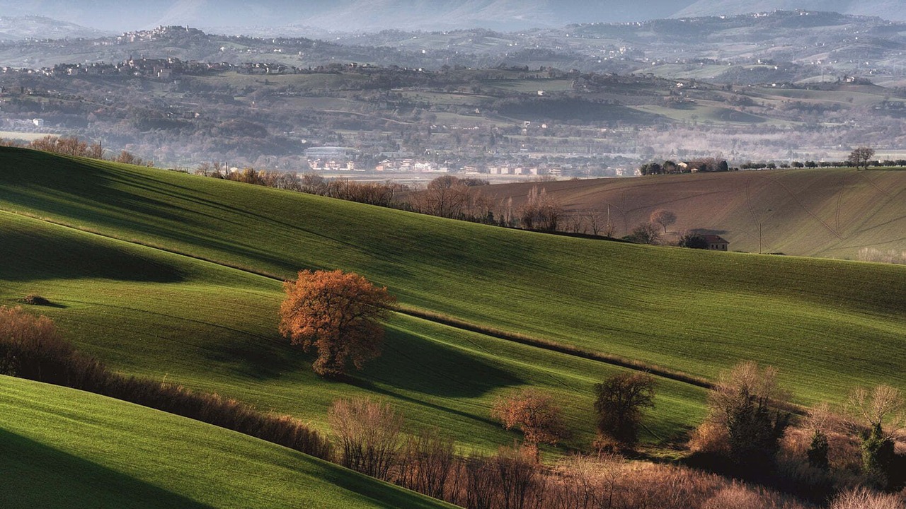 Photo of Others in Macerata