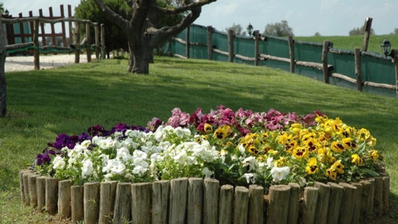 Photo of Outdoor in Deruta
