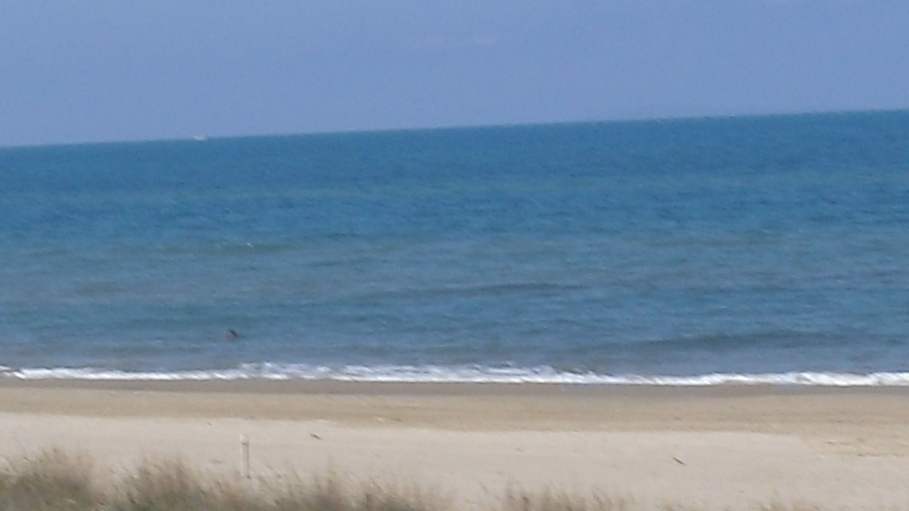 Photo of Others in Cagnano Varano