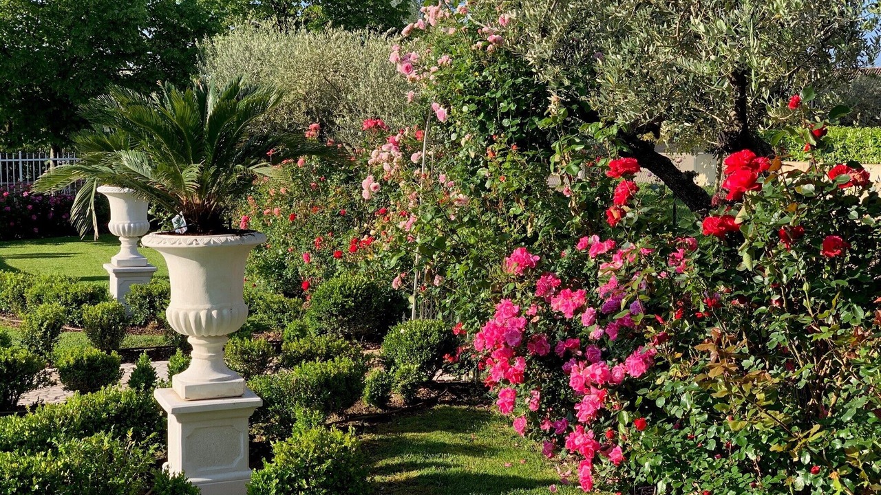 Photo of Outdoor in Montioni