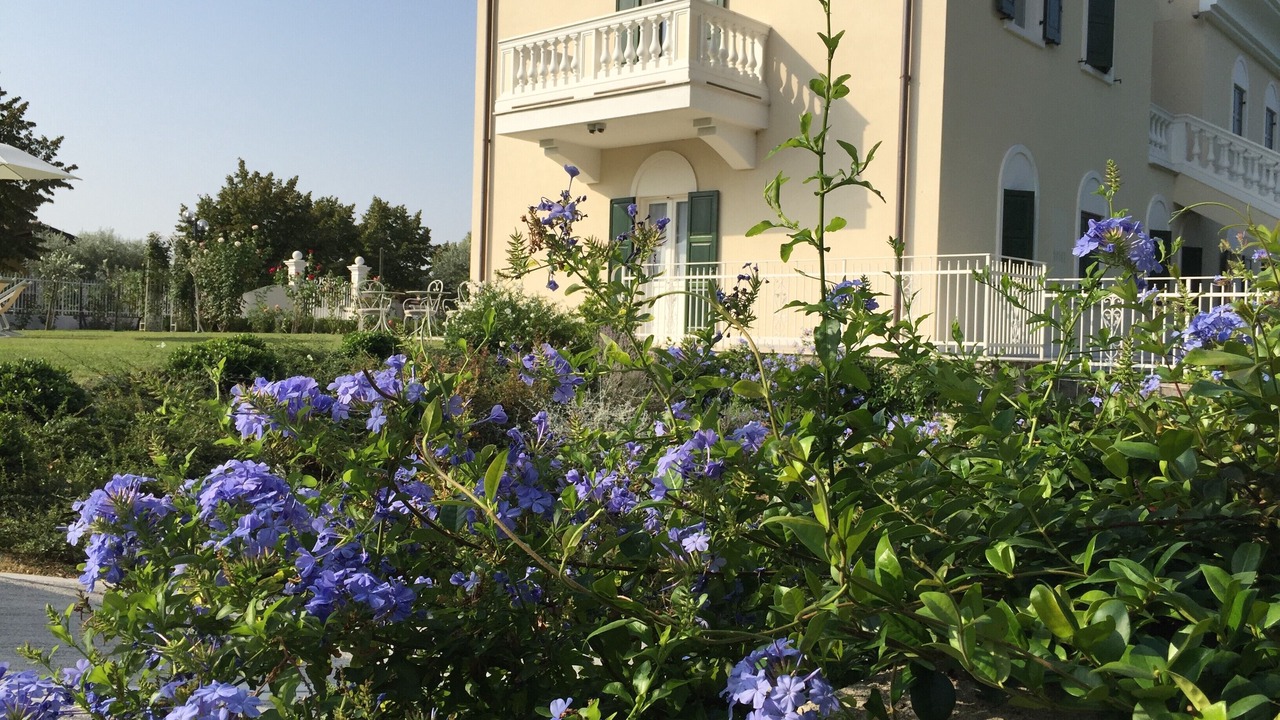 Photo of Outdoor in Montioni