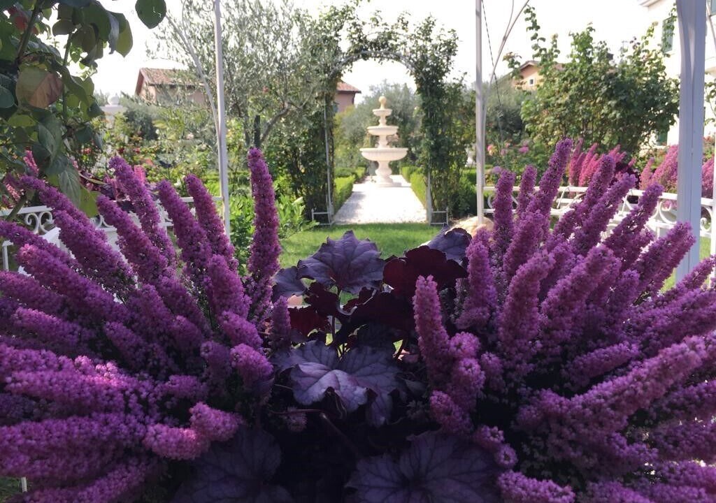 Photo of Outdoor in Montioni