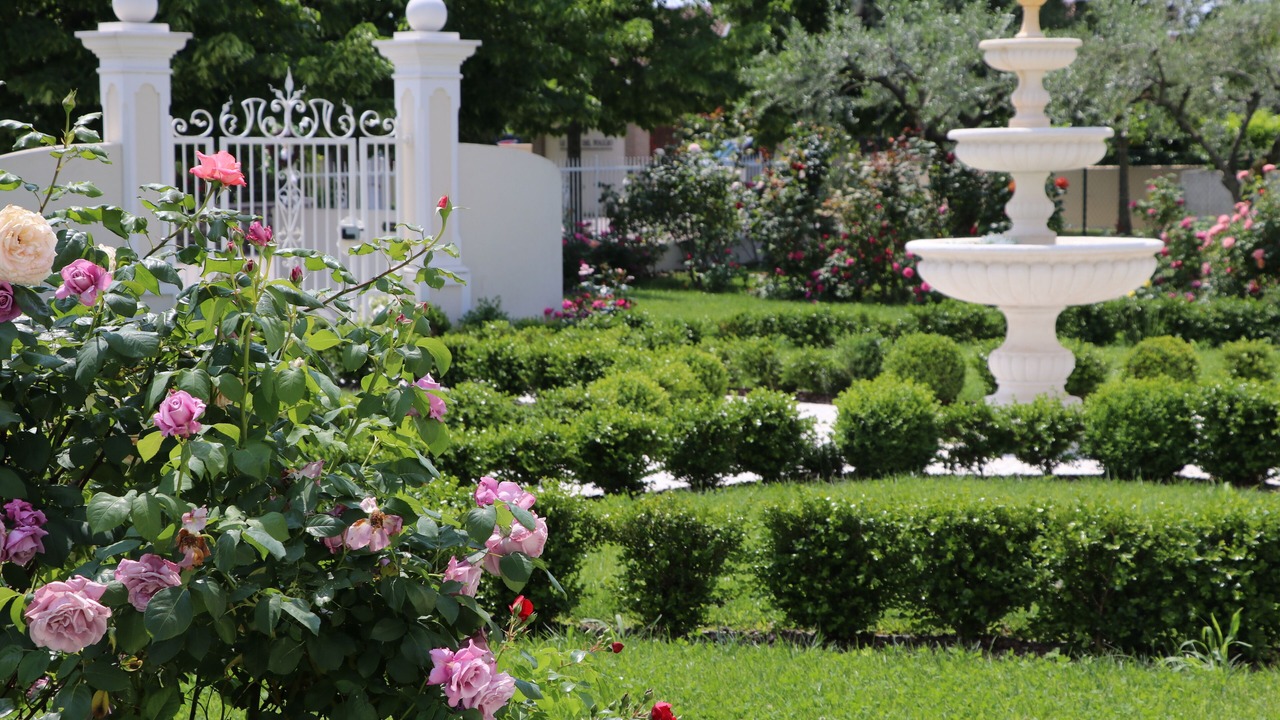 Photo of Outdoor in Montioni