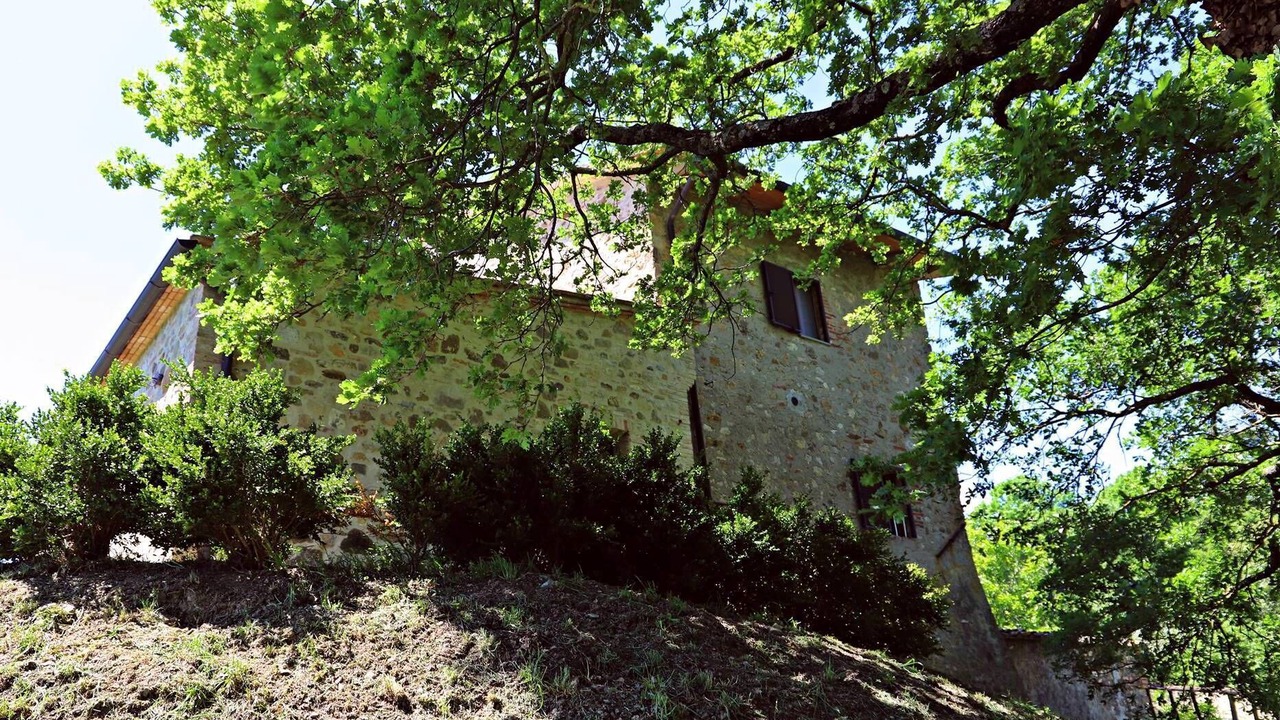 Photo of Outdoor in Radicondoli