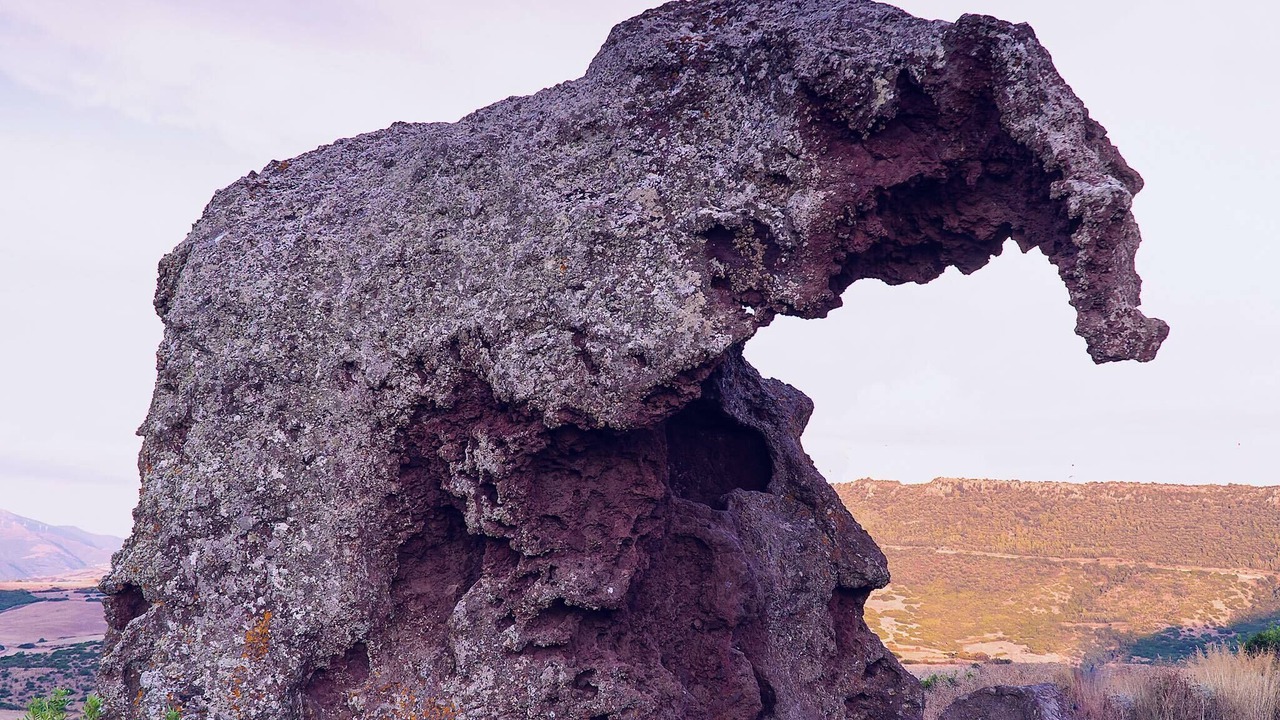 Photo of Outdoor in Lu Bagnu