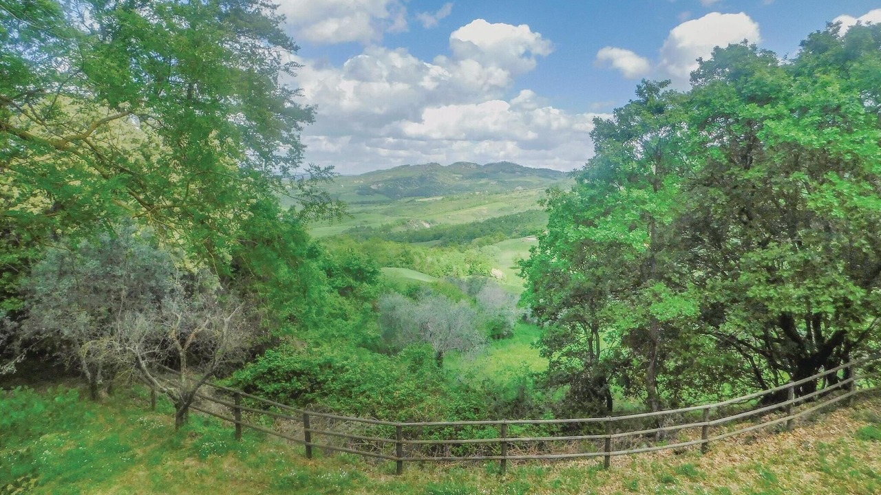 Photo of Others in Radicondoli