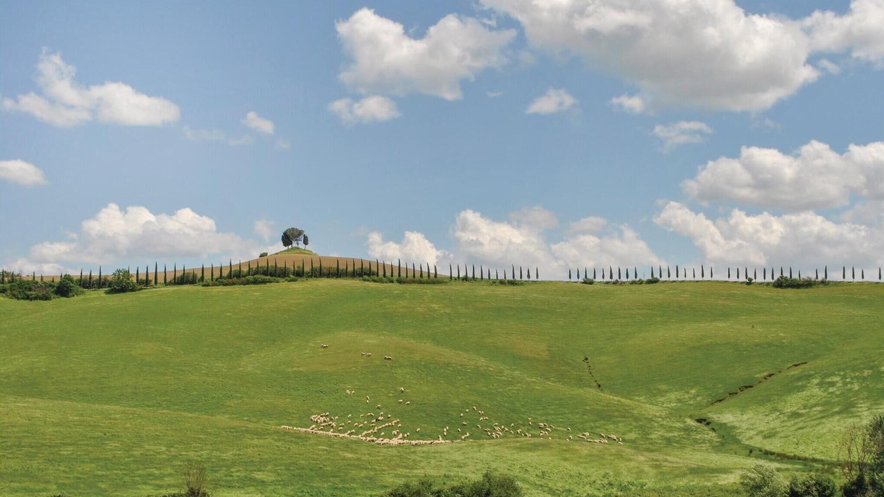 Photo of Others in Radicondoli