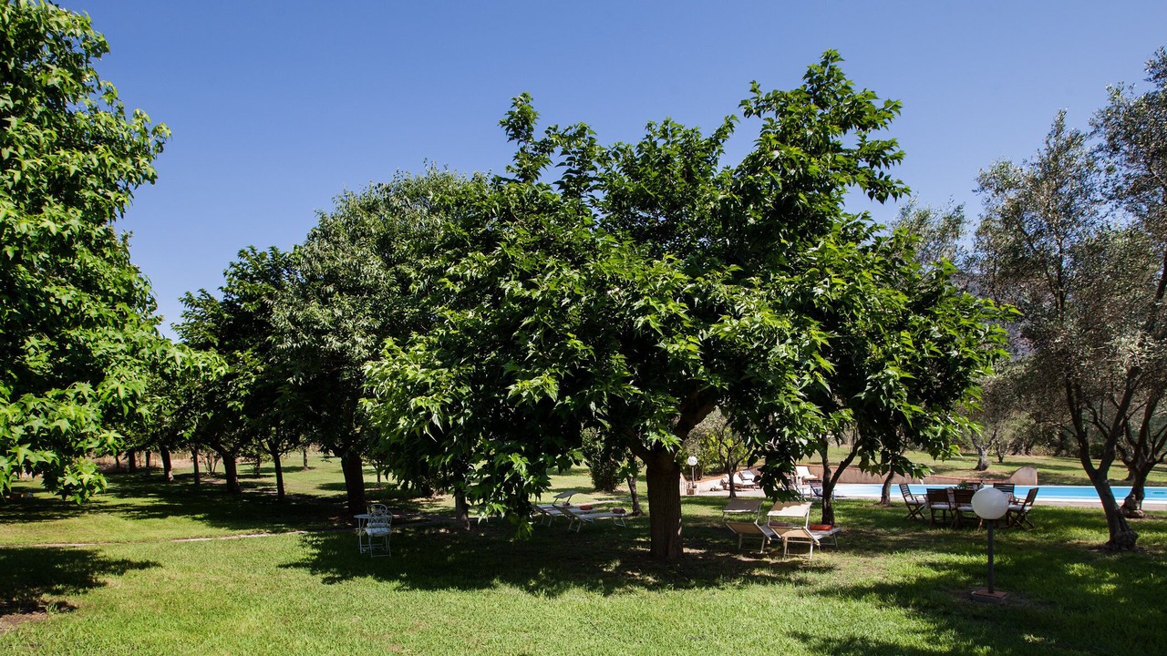 Photo of Outdoor in Iglesias