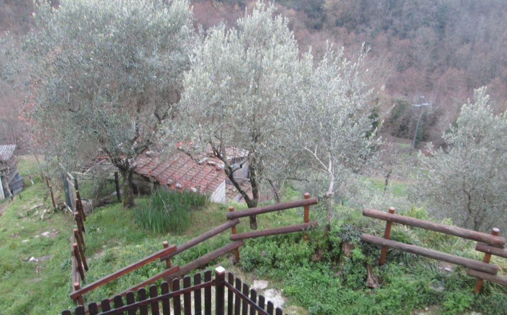 Photo of Outdoor in Bagnone