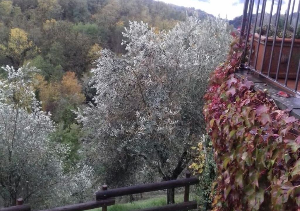 Photo of Outdoor in Bagnone