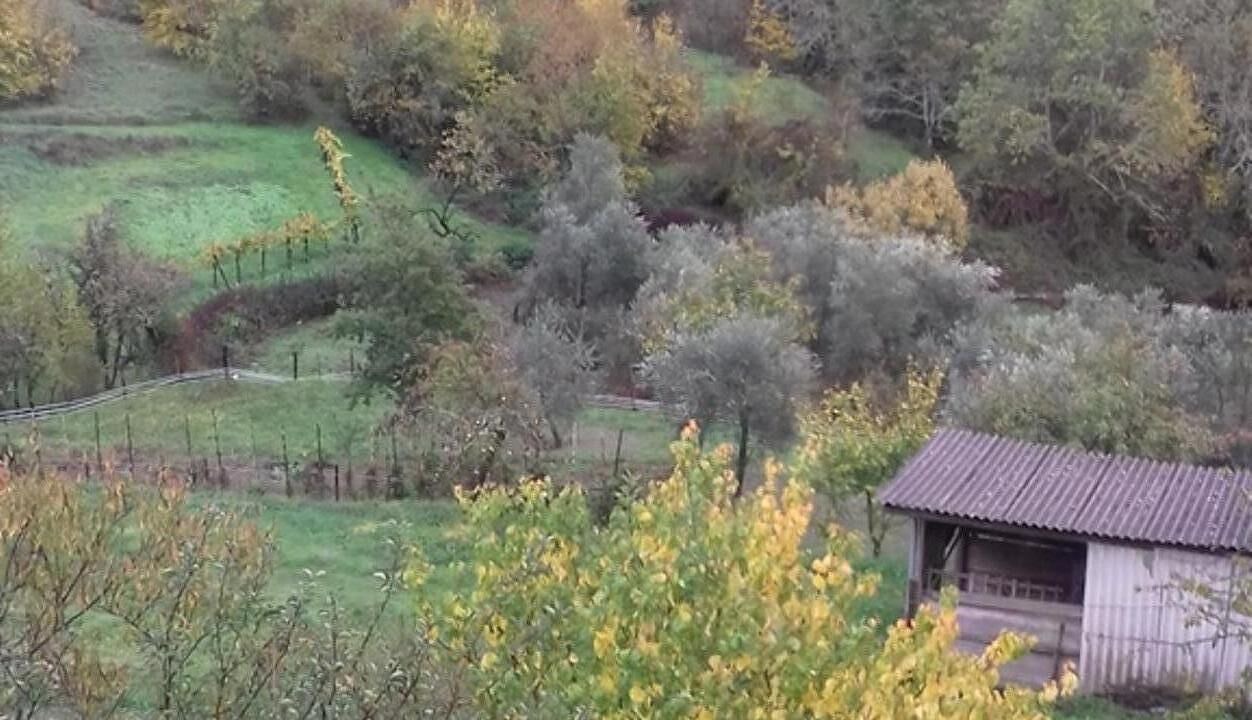 Photo of Outdoor in Bagnone