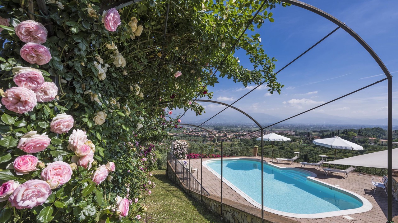 Photo of Outdoor in Casalguidi