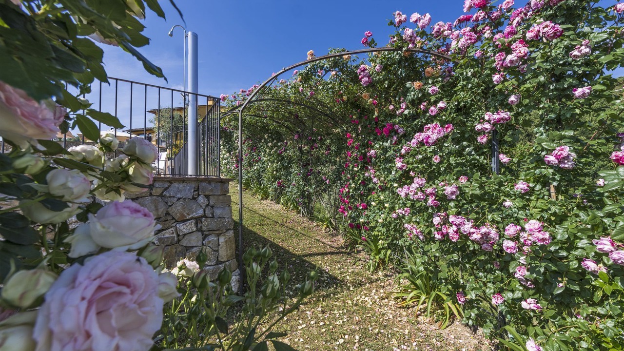 Photo of Outdoor in Casalguidi