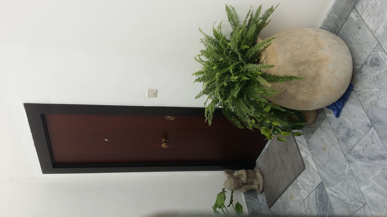 Photo of Others in Bari City Centre