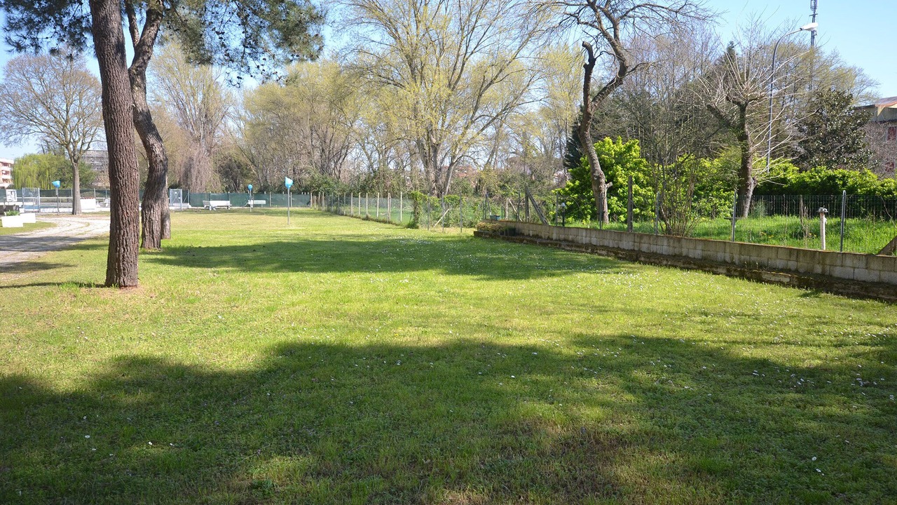Photo of Outdoor in Lido delle Nazioni